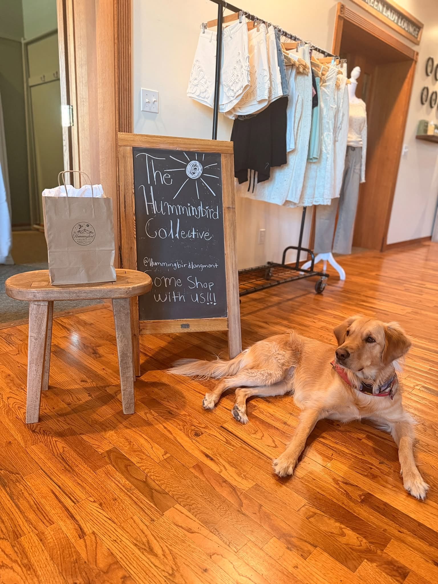 A golden retriever lying on the wood floor beside a chalkboard sign and a clothing rack inside The Hummingbird Collective